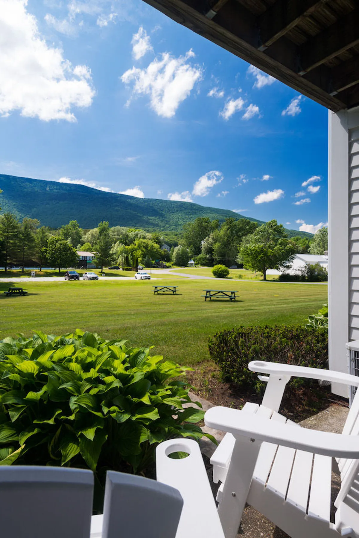 An exterior view showcasing a tranquil green lawn with Adirondack chairs and picnic tables, set before a stunning mountain landscape. The scene invites outdoor relaxation, picnics, and nature appreciation, and is bathed in sunlight, evoking summer days and year-round enjoyment of the natural setting.